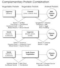 Complementary Protein Combination In 2019 Vegetable