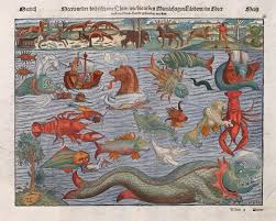 Beauties And Beasts Whales In Portugal From Early Modern