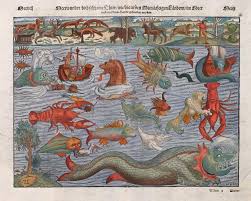 beauties and beasts whales in portugal from early modern