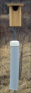 Print wood duck house plans. Nest Boxes For Wildlife Mu Extension