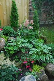Small Shade Garden Astilbes Fuchsias Hostas Creeping Jenny Shade Garden Design Shade Garden Small Front Yard Landscaping