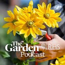 As the name implies, this shrub is a butterfly's best friend! Graham Rice Choose 10 Of His Favourite Winter Flowering Shrubs Rhs Gardening