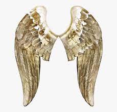 Maybe you would like to learn more about one of these? Angels Wing Butterfly Angel Wings Angelic Transparent Hd Png Download Kindpng