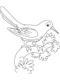 Find more cuckoo clock coloring page pictures from our search. Coloring Pages Of Cuckoo Bird Coloring Pages