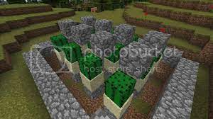 Instead of making another long excursion just to search for more cactus, is it possible to plant what little i have in such a way that it will grow more if so, what is required for cactus to grow? Tutorial Automatic Cactus Farm Mcx360 Discussion Minecraft Xbox 360 Edition Minecraft Editions Minecraft Forum Minecraft Forum