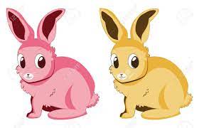 Coloriageetdessins.com vous offre la possibilité de colorier ou imprimer votre dessin lapin couleur en ligne gratuitement. Deux Lapins De Dessin Anime De Couleurs Roses Et Jaunes Clip Art Libres De Droits Vecteurs Et Illustration Image 25793392