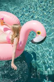 What Should Your Summer Activity Be Summer Feeling Independence Day Activities Flamingo Pool