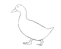 Pin On Draw