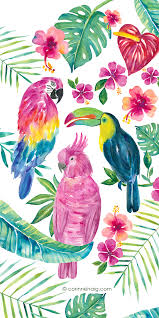 How to draw a cool t. Casetify Art Design Drawing Color Flowers Animals Piciformes Clipart Large Size Png Image Pikpng