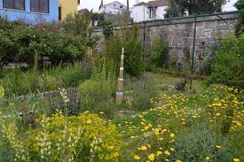 Check spelling or type a new query. Noels Garden Blog Noel Kingsbury