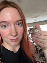 Leopard Gecko Care and Diet Advice for 20-Year-Old Pet