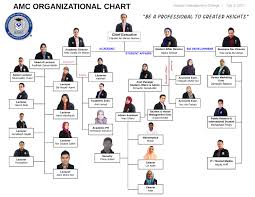 Amc Organizational Chart Usdchfchart Com