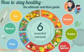 The prefix makro is from the greek the main function of macronutrients is to provide energy, counted as calories. Macronutrients Importance And Benefits Of Macronutrients