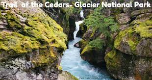 Trail of the cedars is one of the most popular hikes in glacier national park. Trail Of The Cedars Glacier National Park Park Ranger John