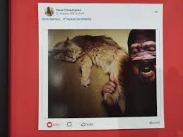 Выставка «Transaction in Selfie»