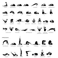 Image result for Primary Series