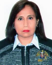 Directorio de Recursos Humanos afines a la CTI