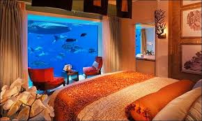 صور فندق اتلانتس دبي 20 صورة مدونة سياحة