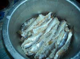 Saat air pada jeruk nipis sudah diperas, kamu bisa mengoleskannya dengan menggunakan kapas di wajah yang sudah dibersihkan terlebih dahulu. Ikan Jeruk Paling Mudah Bonda Masnita Kongsi Resepi Facebook