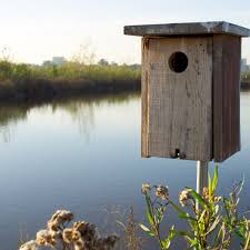 Then building this cute duck house and raising your own backyard ducks is the answer to your dreams ! How To Build A Wood Duck Nest Box Feltmagnet Crafts