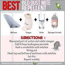 Where can i find bedbugs packets to put under mattress seen on shark tank? Where Can I Find Bedbugs Packets To Put Under Mattress Seen On Shark Tank Amazon Com Saferest Premium Bed Bug Proof Box Spring Encasement Lab Tested 100 Waterproof Exclusive Zipper Flap