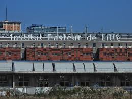 Other articles where pasteur institute is discussed: Covid 19 Treatments Vaccines Ask All Your Questions To The Institut Pasteur De Lille World Today News