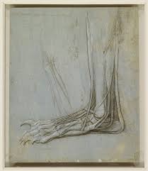 Leonardo Da Vinci The Man Who Wanted To Know Everything Bbc This Exhibition Is The Largest Ever Of Leonardo Da Vinci S Studies Of The Human Body Leonardo Has Long Been Recognised A Leonardo Da Vinci Foot Painting Vinci