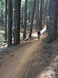 Old railroad grade mountain bike trail, mill valley, california. Mountain Bike Trails Near California