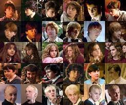 Harry potter characters that would vote for trump in 2016 but not 2020 (you guys may fight me on this). Harry Potter Universe On Twitter Harry Potter Characters Harry Potter Facts Harry Potter Cast