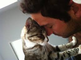 Kedi Seven Insanlari Bir Turlu Anlayamayanlara Kedilerin Neden Sevildigini Anlatan 24 Madde Listelist Com