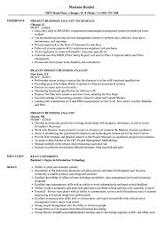 Project Business Analyst Resume Samples Velvet Jobs