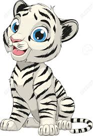 Step 3 we will now work upon the face of the tiger. Vector Illustration Funny White Tiger Cub Sits Smiling On Royalty Free Cliparts Vectors And Stock Illustration Image 124281792