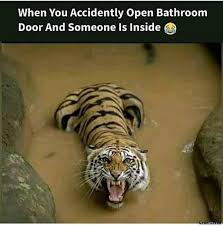 Gym Instructor Lets Call Out The Wild Tiger Inside You The Wild Tiger Inside Me Meme Memezila Com Some Funny Jokes Girlfriend Quotes Funny Fun Quotes Funny