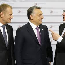 'i could have been fired for saying this'donald tusk: Donald Tusk Must Put Europe Before His Old Friend Viktor Orban Donald Tusk The Guardian