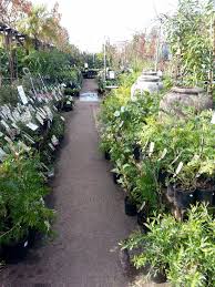 Items an excellent home garden supply specialized outlet has. Wombat Gully Plant Farm Geelong