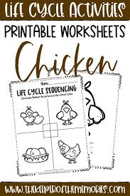 For children, the chicken and the cockerel are close and familiar characters. Free Printable Chicken Life Cycle Worksheets The Keeper Of The Memories