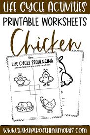 Don't feed your chickens this: Free Printable Chicken Life Cycle Worksheets The Keeper Of The Memories