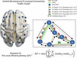 Image result for Higher Integrative Function