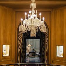 Image result for Dissotis melleri