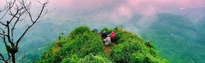 We did not find results for: Gunung Batu Wisata Alam Di Bogor Yang Hits Di Instagram