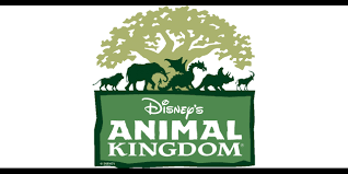 Disney Animal Kingdom Tree Silhouette
