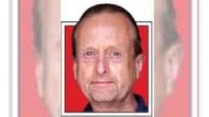 To save the Wilkins bunting, we transported killer wasps to the world's  most remote isles'