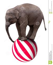 Baby Circus Elephant Balancing On Ball Circus Elephant Elephant Illustration Elephant