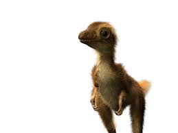 Maybe you would like to learn more about one of these? 13 Things Paleontologists Got Wrong About Tyrannosaurus Rex