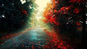 Hd Wallpapers 1080p Free Download For Pc Chill Wallpaper Rain Wallpapers Fall Wallpaper