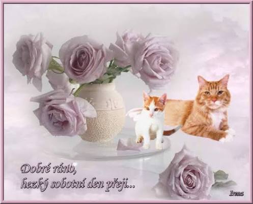 images?q=tbn:ANd9GcRvuzKDKfw9g3ZQ9vfq15iaPlX0Sq2d5hIp2ckLWw1Riw&s=10