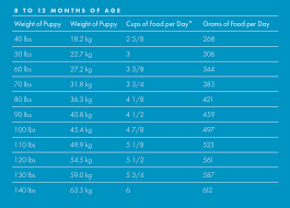 Fromm Large Breed Puppy Feeding Chart Puppy Chow Large Breed