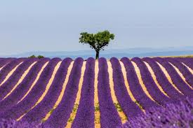 Programas, podcasts, dossiers en rfi. Viajar A Francia Lonely Planet