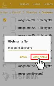 Untuk menghindari chat kamu tidak bisa dihapus lagi, makanya kamu harus membackup semua percakapan whatsapp kamu ke google. Cara Melihat Pesan Whatsapp Yang Sudah Dihapus