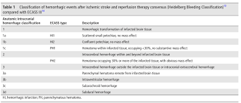 Image result for Hemorrhage Classification
